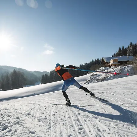 Apartmán Mary Inklusive Tauern-spa *