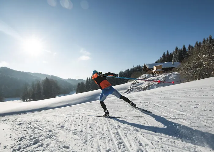 דירה Mary Inklusive Tauern-spa *